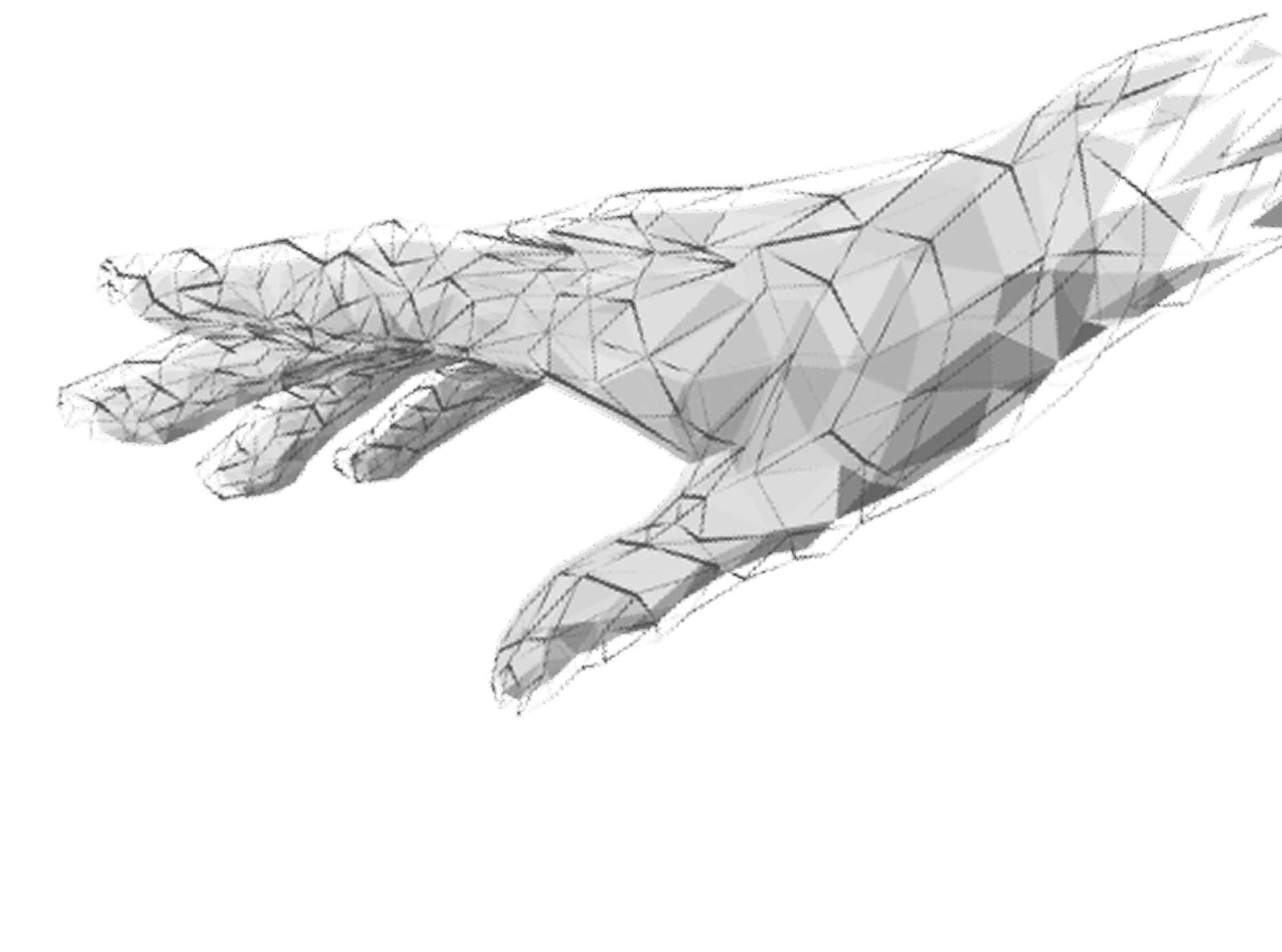 wireframe hand
